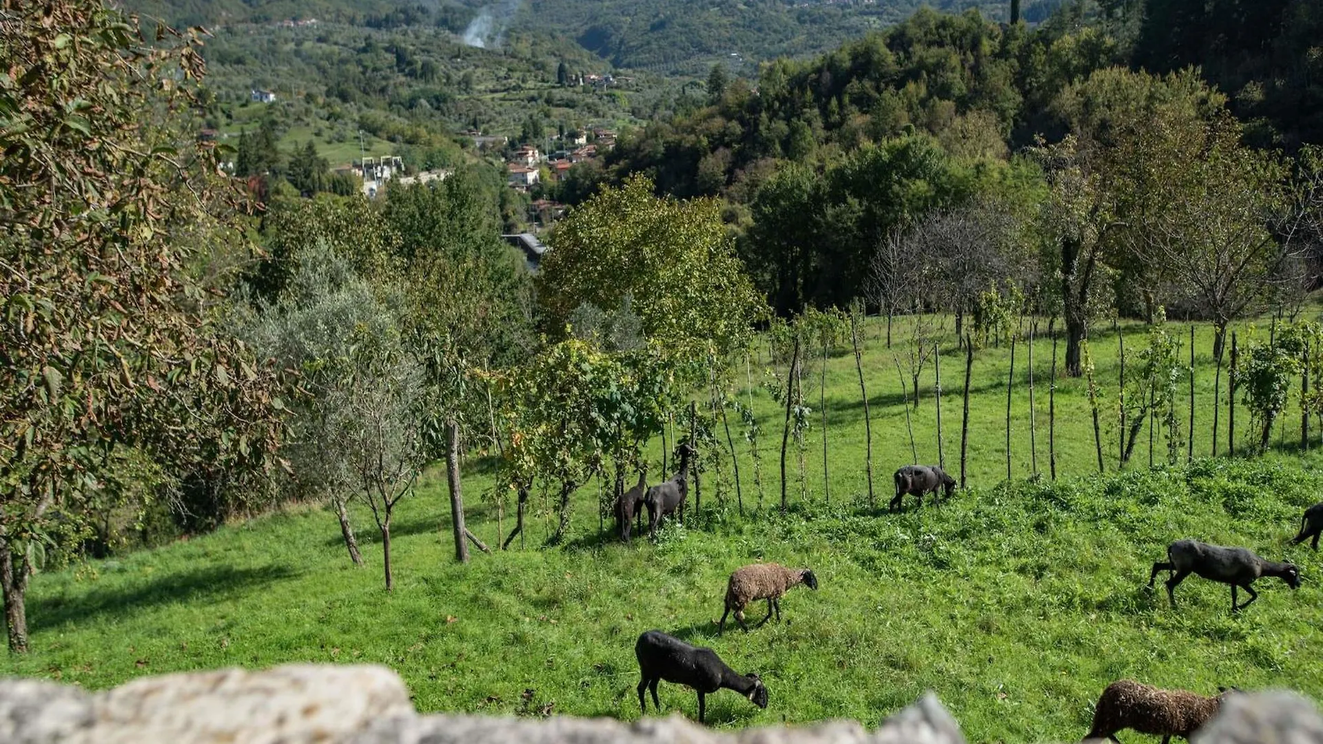 Flat With Heated Hot Tub And Shared Pool Apartment Casola in Lunigiana